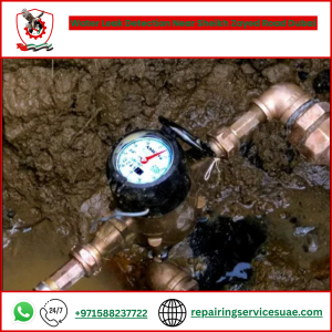 Water Leak Detection Near Sheikh Zayed Road Dubai