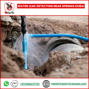 Water Leak Detection Near Springs Dubai
