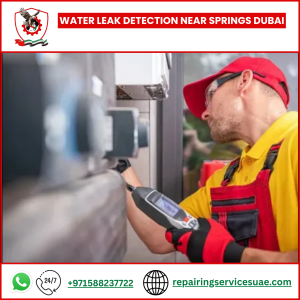 Water Leak Detection Near Springs Dubai
