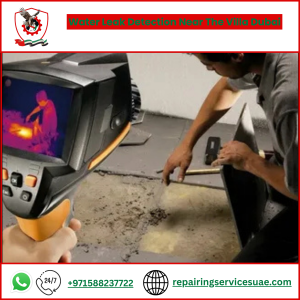 Water Leak Detection Near The Villa Dubai