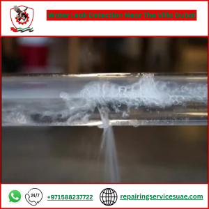 Water Leak Detection Near The Villa Dubai