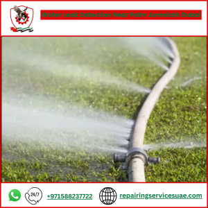 Water Leak Detection Near Palm Jumeirah Dubai