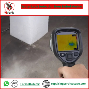 Water Leak Detection Near Dubai Marina