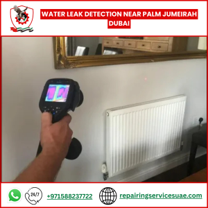 Water Leak Detection Near Palm Jumeirah Dubai