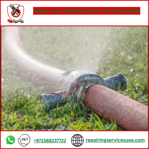 Water Leak Detection Near The Villa Dubai