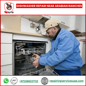Dishwasher Repair Near Arabian Ranches