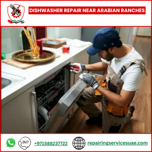 Dishwasher Repair Near Arabian Ranches