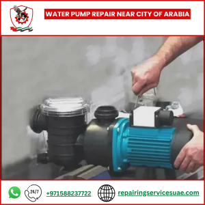Water Pump Repair near City of Arabia