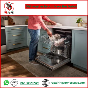 Dishwasher Repair Near Bur Dubai