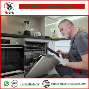 Dishwasher Repair Near Al Rashidiya Dubai