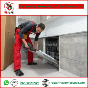 Dishwasher Repair Near Al Rashidiya Dubai