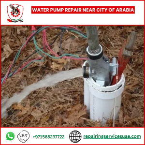 Water Pump Repair near City of Arabia