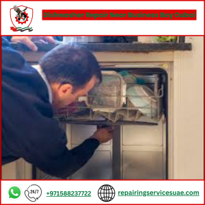 Dishwasher Repair Near Business Bay Dubai