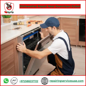 Dishwasher Repair Near Downtown Dubai