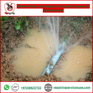 Hidden Water Leak Signs You Shouldn’t Ignore in Dubai Homes