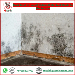 Mold Smell in House? Hidden Water Leak Could Be the Reason