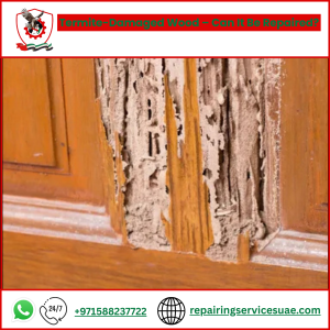 Termite-Damaged Wood – Can It Be Repaired?