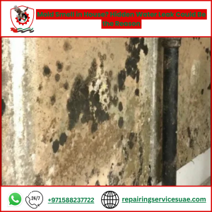Mold Smell in House? Hidden Water Leak Could Be the Reason
