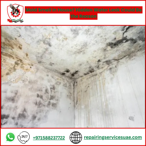 Mold Smell in House? Hidden Water Leak Could Be the Reason