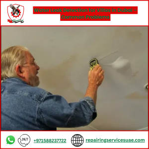 Water Leak Detection for Villas in Dubai – Common Problems