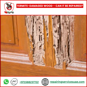 Termite-Damaged Wood – Can It Be Repaired?Termite-Damaged Wood – Can It Be Repaired?