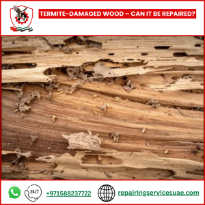 Termite-Damaged Wood – Can It Be Repaired?