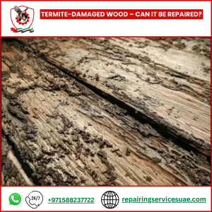 Termite-Damaged Wood – Can It Be Repaired?