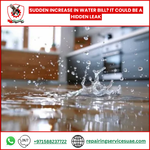 Sudden Increase in Water Bill? It Could Be a Hidden Leak