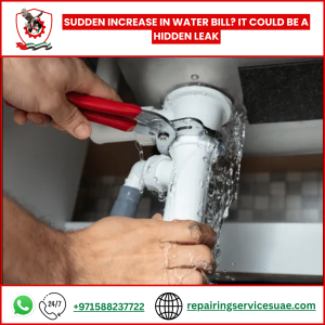 Sudden Increase in Water Bill? It Could Be a Hidden Leak