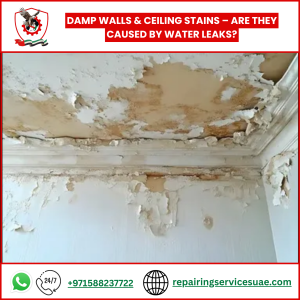 Damp Walls & Ceiling Stains – Are They Caused by Water Leaks?