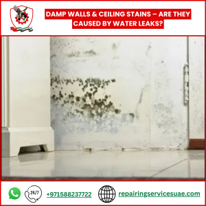 Damp Walls & Ceiling Stains – Are They Caused by Water Leaks?