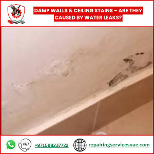 Damp Walls & Ceiling Stains – Are They Caused by Water Leaks?