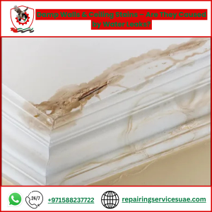 Damp Walls & Ceiling Stains – Are They Caused by Water Leaks?