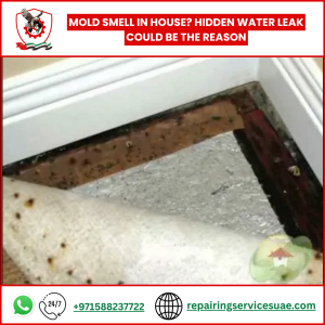 Mold Smell in House? Hidden Water Leak Could Be the Reason