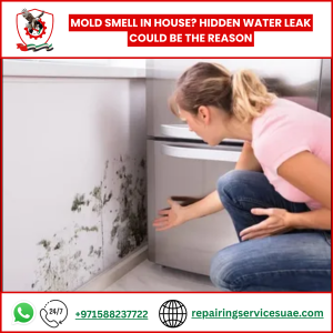 Mold Smell in House? Hidden Water Leak Could Be the Reason