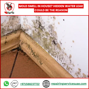Mold Smell in House? Hidden Water Leak Could Be the Reason
