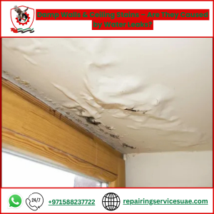 Damp Walls & Ceiling Stains – Are They Caused by Water Leaks?