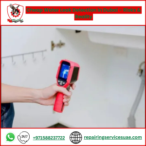 Cheap Water Leak Detection in Dubai – Risks & Reality