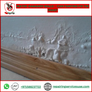 Water-Damaged Walls – Can Painting Fix the Issue?