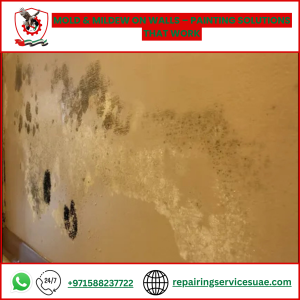 Mold & Mildew on Walls – Painting Solutions That Work