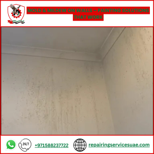 Mold & Mildew on Walls – Painting Solutions That Work