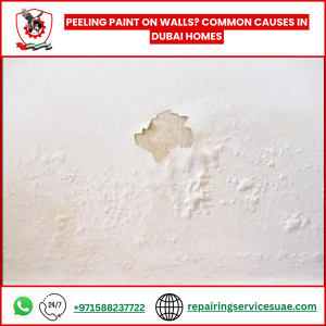 Peeling Paint on Walls? Common Causes in Dubai Homes