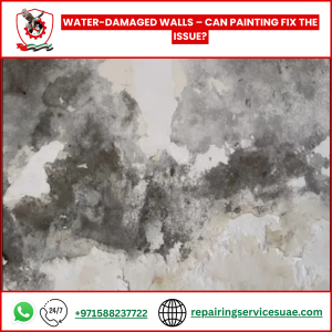 Water-Damaged Walls – Can Painting Fix the Issue?