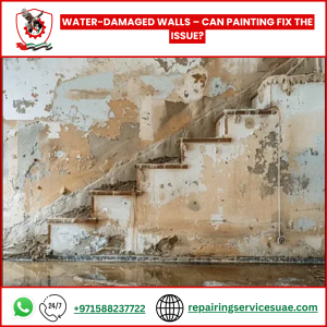 Water-Damaged Walls – Can Painting Fix the Issue?