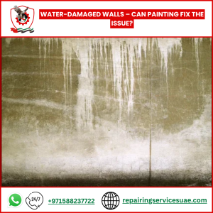 Water-Damaged Walls – Can Painting Fix the Issue?