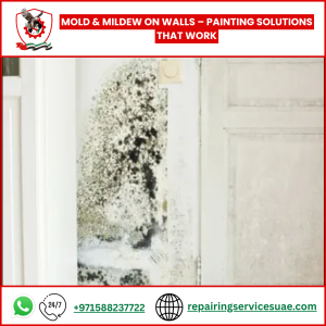 Mold & Mildew on Walls – Painting Solutions That Work