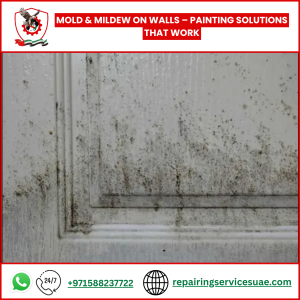 Mold & Mildew on Walls – Painting Solutions That Work