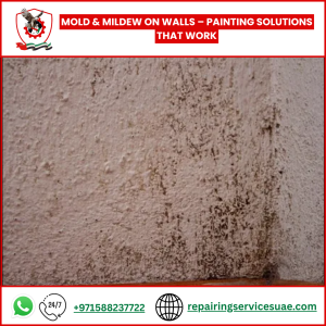 Mold & Mildew on Walls – Painting Solutions That Work