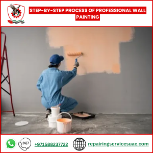 Step-by-Step Process of Professional Wall Painting
