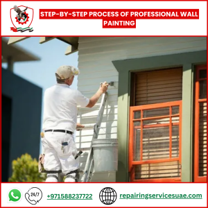 Step-by-Step Process of Professional Wall Painting
